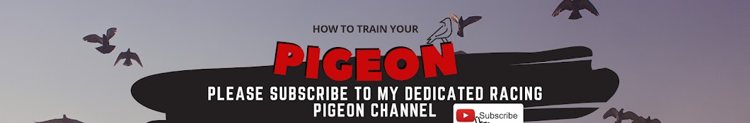 How To Train Your Pigeon