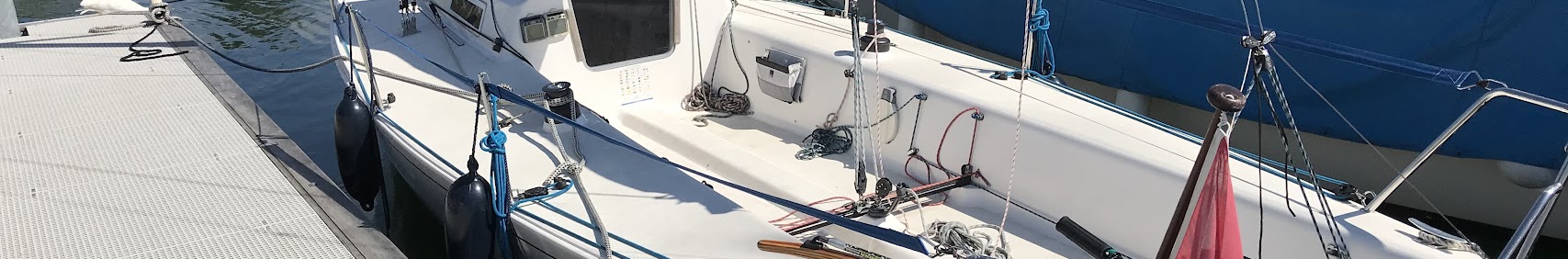 crazylobstersailing1144