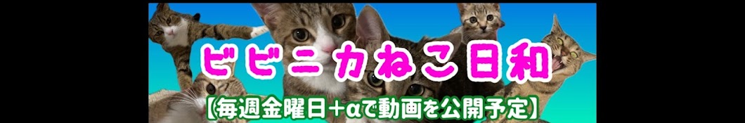 ビビニカねこ日和