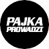 Pajka Prowadzi