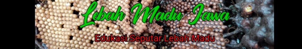 Lebah madu jawa