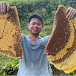 Quoc - Farm Forest Life