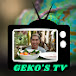 GekosTV version2.0