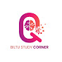 Biltu Study Corner