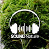 Harmony of Nature Sounds