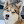 gonetothesnowdogs avatar