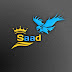 Saad Music 1