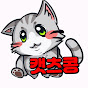 캣츠콩CATSKONG