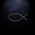 logo  KarllXll