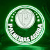 PALMEIRAS AGORA