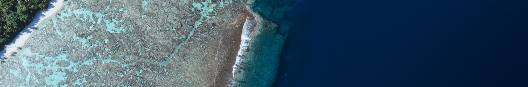 sailtahiti