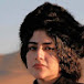 Sahar Mohammadi Boroujerdi