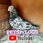 PETS VLOGS