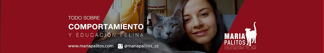 MariaPalitos y los gatos