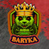 logo BARYKA