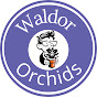 Waldor Orchids