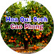 Hoa Quả Sạch Cao Phong