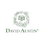 David Austin Roses