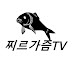 찌르가즘TV