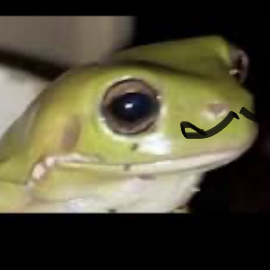 Froggo - YouTube