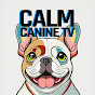 CalmCanineTV