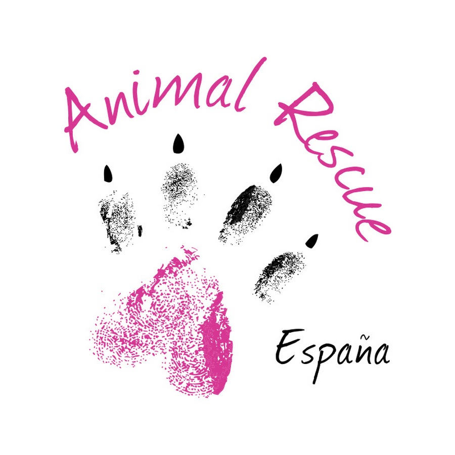 Fundación Animal Rescue  @FundacionAnimalRescue
