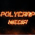 logo Polycarp Media