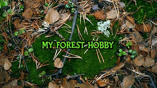 Заставка Ютуб-канала My Forest Hobby
