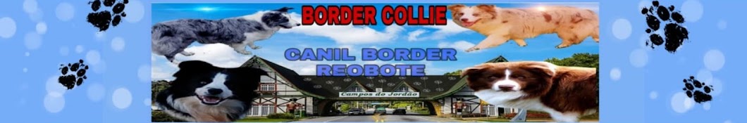 Canil Border Reobote – Especializado na Criação de Border Collies