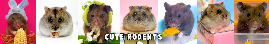 Cute Rodents