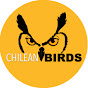 Chilean Birds