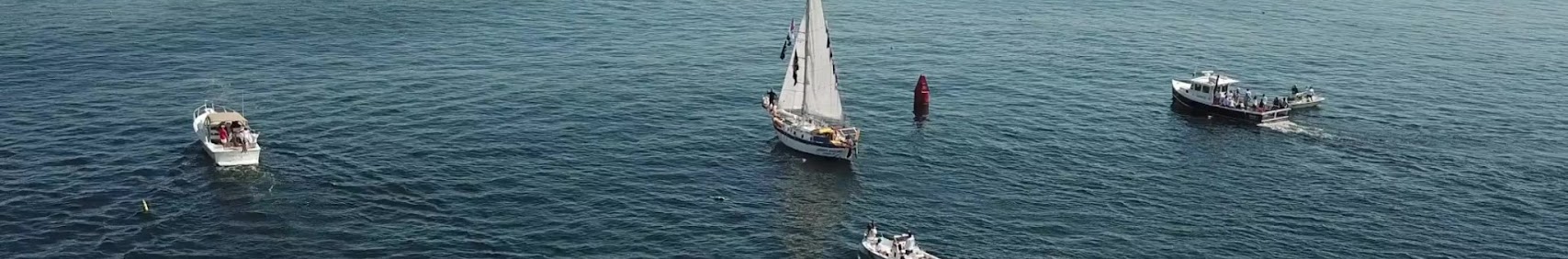 sailingintooblivion