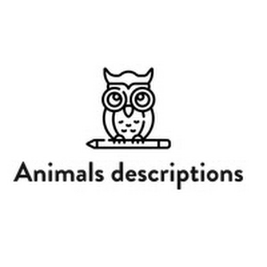 Animals Descriptions - YouTube