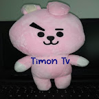 Timon TV