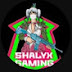 Shalyx Gaming