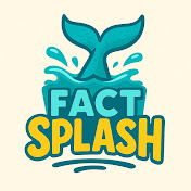 FactSplash