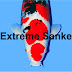 Extreme Sanke