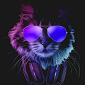 Artist Thumbnail