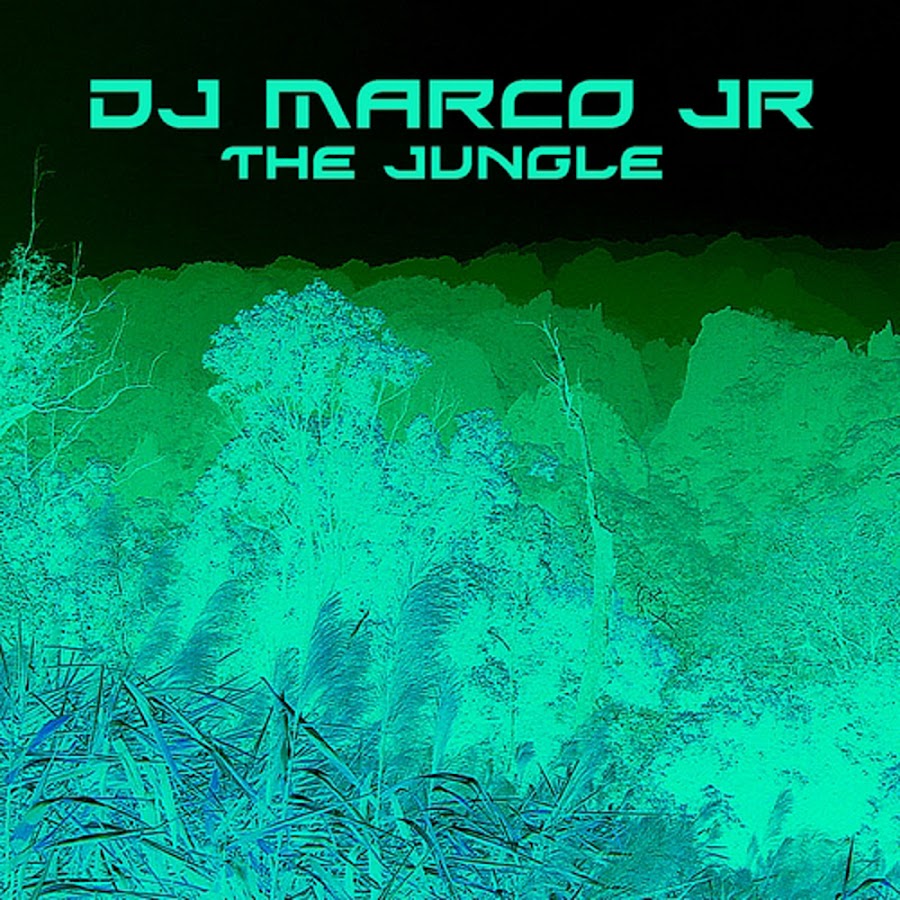 Jungle remix