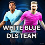 White Blue DLS Team