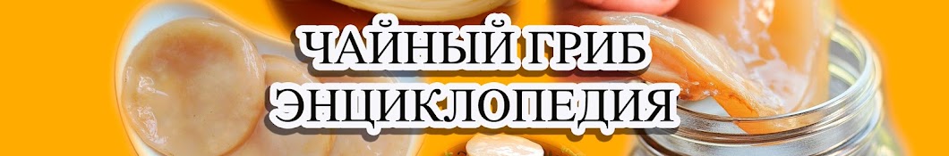 Чайный Гриб Энциклопедия