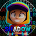 RPT Shadow