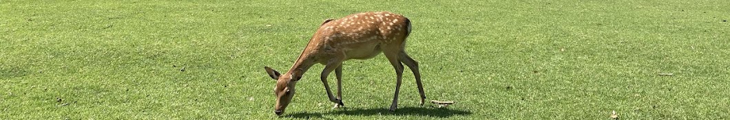 にょろ好きのちーさん