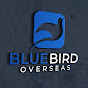 Bluebird Overseas