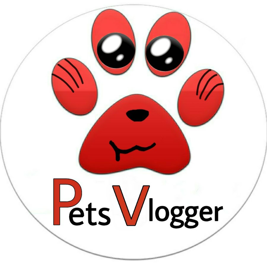 Pets Vlogger