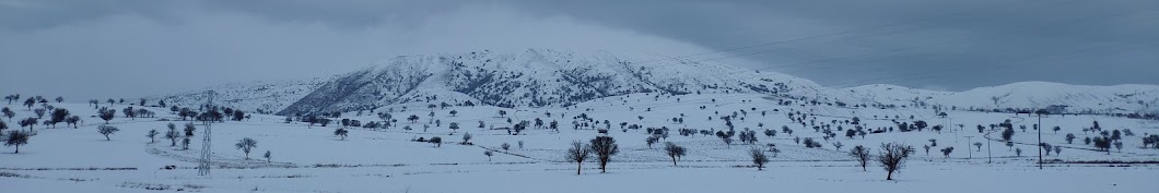 veli gök