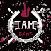 I.A.M band