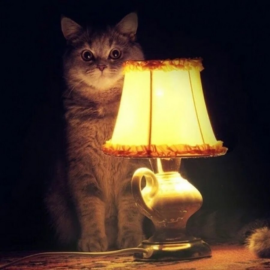 Настольная лампа читающий кот на диване