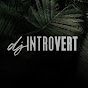 DJ Introvert