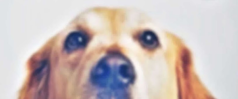Artist Thumbnail